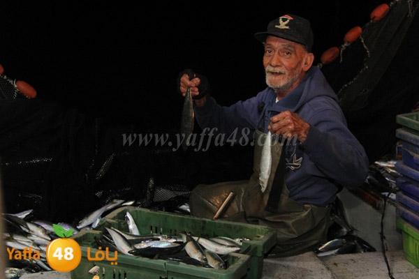 fishes in jaffa 0107 (11).JPG